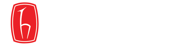 Hacettepe Üniversitesi Logo